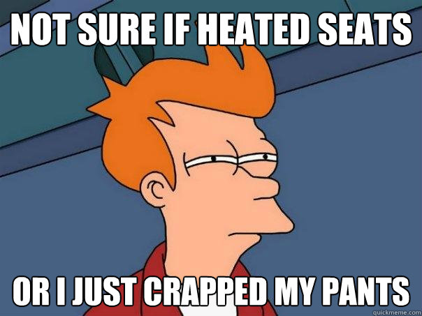 Not sure if heated seats  or i just crapped my pants - Not sure if heated seats  or i just crapped my pants  Futurama Fry