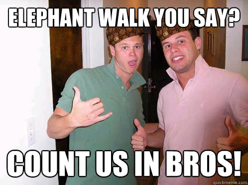 Elephant walk you say? Count us in bros! - Elephant walk you say? Count us in bros!  Scumbag Frat Boys