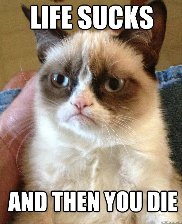 life sucks and then you die  Grumpy Cat