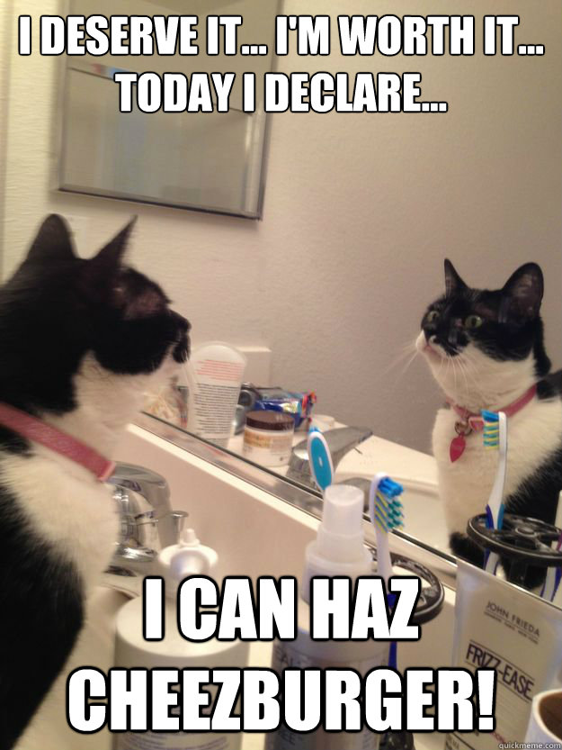 i deserve it... i'm worth it... today i declare... i can haz cheezburger! - i deserve it... i'm worth it... today i declare... i can haz cheezburger!  Self Help Cat