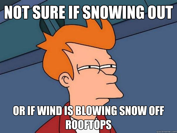 not sure if snowing out or if wind is blowing snow off rooftops  Futurama Fry