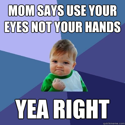 Mom says use your eyes not your hands yea right  Success Kid