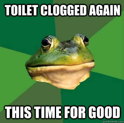 Toilet clogged again this time for good  Foul Bachelor Frog