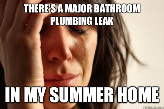 There's a major bathroom plumbing leak In my summer home  First World Problems