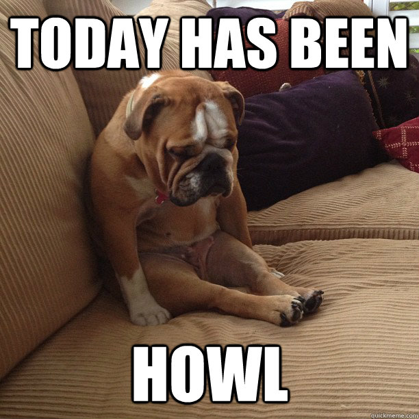 Today has been howl  depressed dog