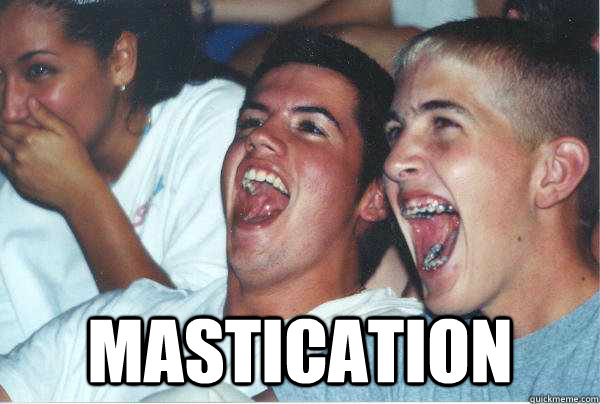   mastication  Immature Highschoolers