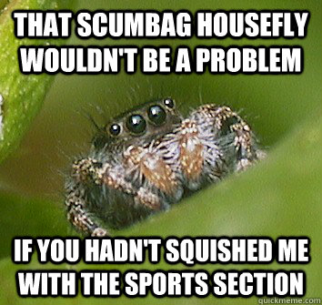 That scumbag housefly wouldn't be a problem if you hadn't squished me with the sports section  Misunderstood Spider