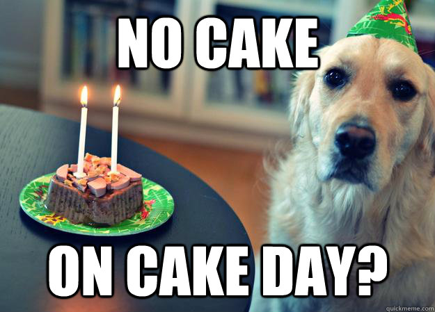 No cake on cake day? - No cake on cake day?  Sad Birthday Dog