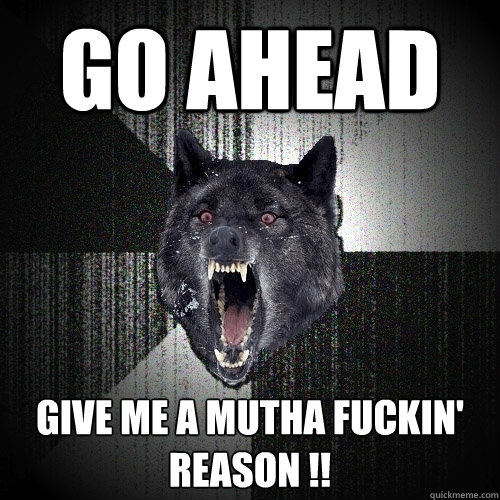 GO AHEAD GIVE ME A MUTHA FUCKIN' REASON !!  Insanity Wolf