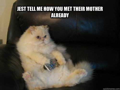 Jest tell me how you met their mother already  Disapproving TV Cat