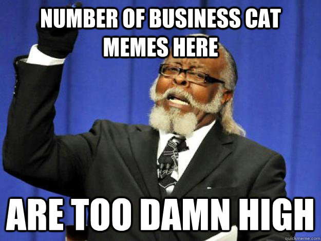 Number of business cat memes here are too damn high  Toodamnhigh