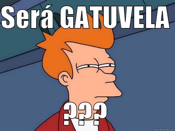 SERÁ GATUVELA  ??? Futurama Fry