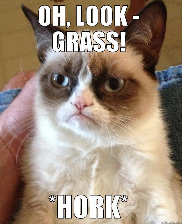 GrumpyCat's Morning Barf  - OH, LOOK - GRASS! *HORK* Grump Cat