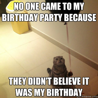 No one came To my birthday party because  they didn't Believe it was my Birthday - No one came To my birthday party because  they didn't Believe it was my Birthday  Sad Birthday Cat