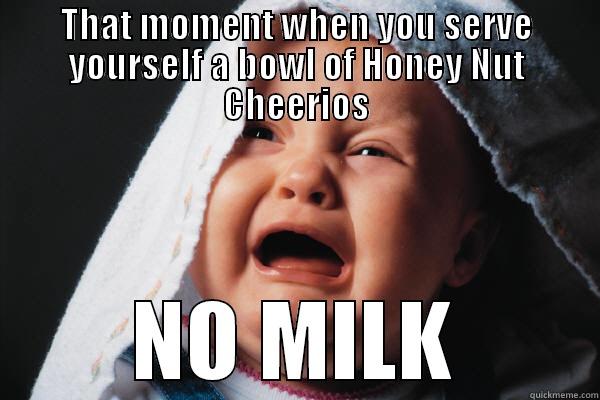THAT MOMENT WHEN YOU SERVE YOURSELF A BOWL OF HONEY NUT CHEERIOS NO MILK Misc