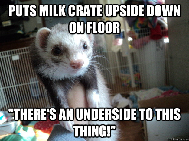 puts milk crate upside down on floor 