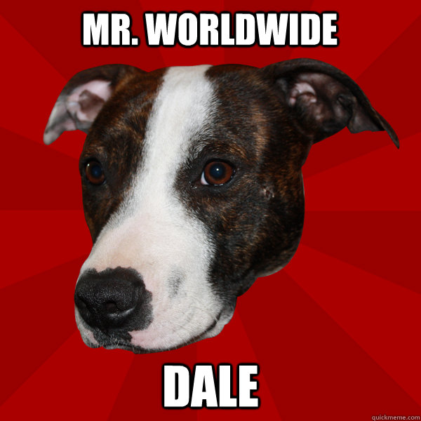 Mr. WORLDWIDE DALE  Vicious Pitbull Meme