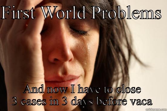 FIRST WORLD PROBLEMS  AND NOW I HAVE TO CLOSE 3 CASES IN 3 DAYS BEFORE VACATION  First World Problems