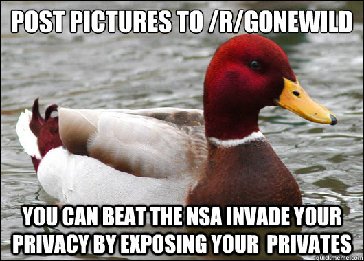 Post pictures to /r/gonewild You can beat the NSA invade your privacy by exposing your  privates  Malicious Advice Mallard