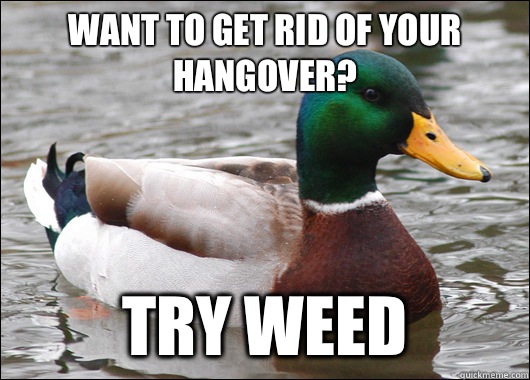 Want to get rid of your hangover? Try Weed  Actual Advice Mallard