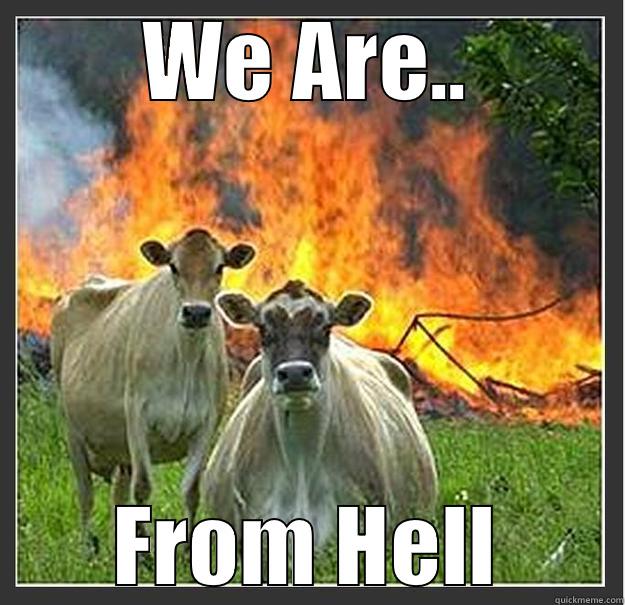 WE ARE.. FROM HELL Evil cows