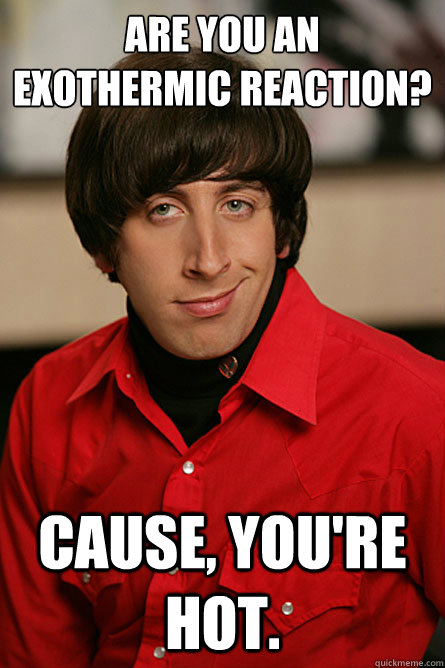 Are you an exothermic reaction?  Cause, you're hot. - Are you an exothermic reaction?  Cause, you're hot.  Pickup Line Scientist