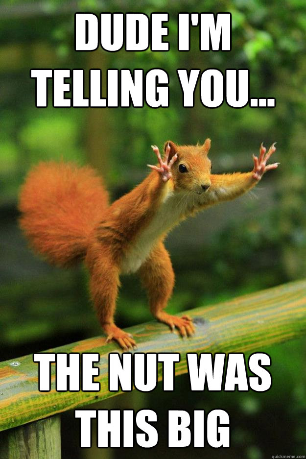 Dude I'm telling you... The nut was this big - Dude I'm telling you... The nut was this big  Say Whaaat!