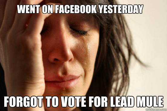 Went on Facebook yesterday Forgot to vote for Lead Mule  First World Problems