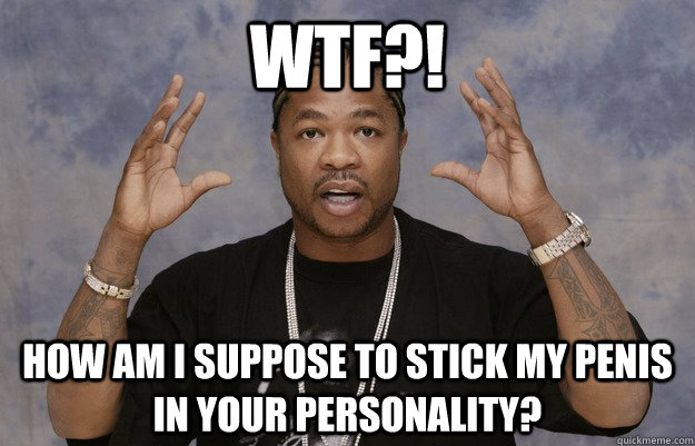 WTF?! how am i suppose to stick my penis in your personality?  Minecraft Xzibit