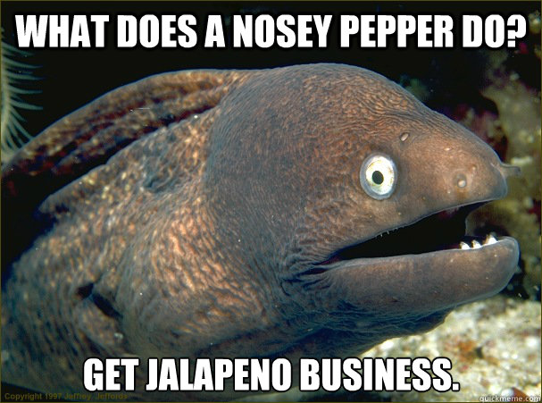 What does a nosey pepper do? Get jalapeno business. - What does a nosey pepper do? Get jalapeno business.  Bad Joke Eel