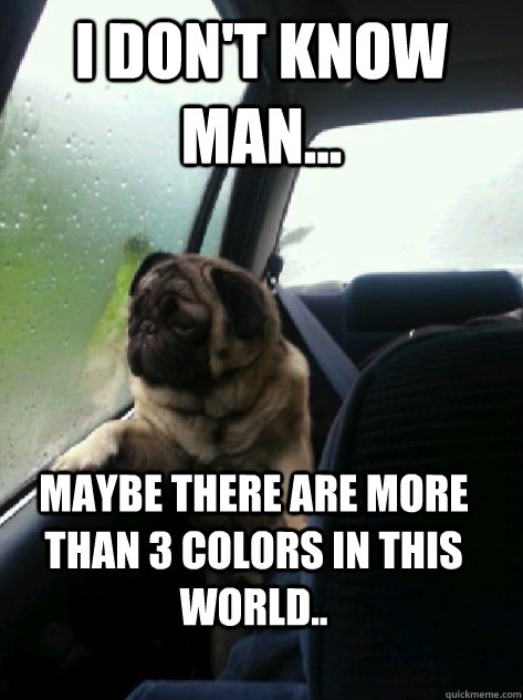 I don't know man... maybe there are more than 3 colors in this world.. - I don't know man... maybe there are more than 3 colors in this world..  Introspective Pug