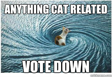 Anything Cat related vote down  Goodbye Cat