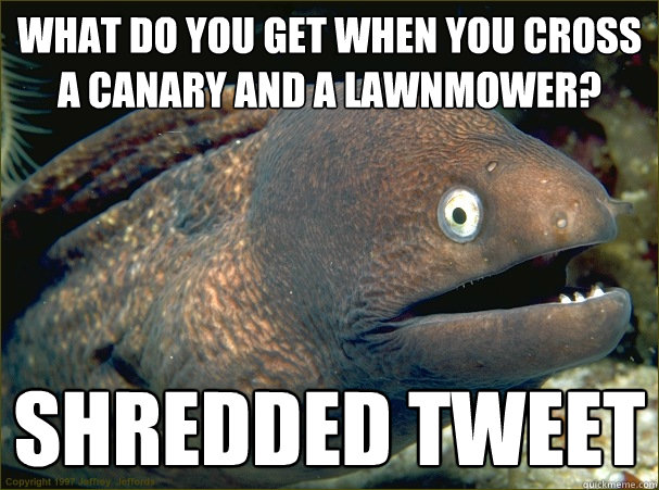 What do you get when you cross a canary and a lawnmower? Shredded tweet  Bad Joke Eel
