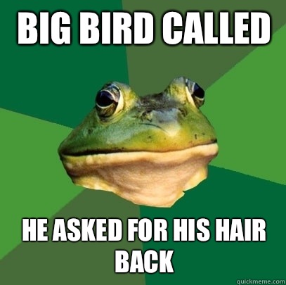 Big bird called  He asked for his hair back  Foul Bachelor Frog