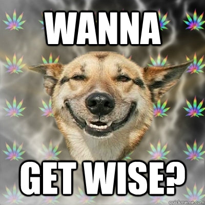 Wanna Get Wise?  Stoner Dog