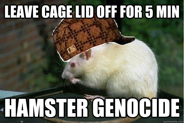 Leave Cage Lid off for 5 min Hamster Genocide - Leave Cage Lid off for 5 min Hamster Genocide  Scumbag Rat