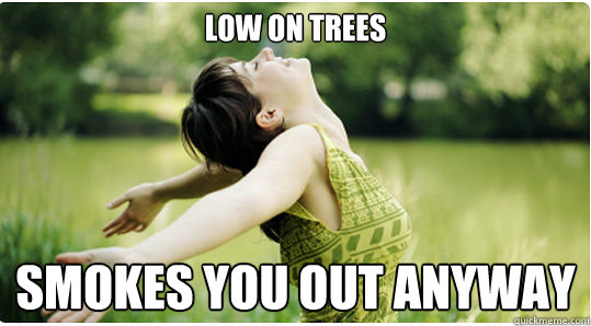 Low on trees smokes you out anyway - Low on trees smokes you out anyway  Awesome ent girlfriend