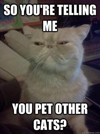 so you're telling me you pet other cats?  Skeptical cat