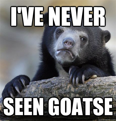 I've never Seen Goatse  Confession Bear