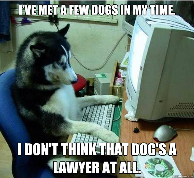 I've met a few dogs in my time. I don't think that dog's a lawyer at all.  Disapproving Dog