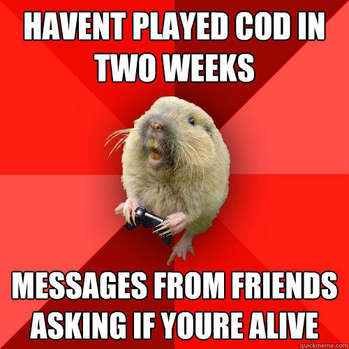 havent played cod in two weeks messages from friends asking if youre alive  Gaming Gopher