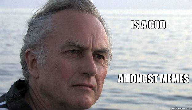 Is a god amongst memes  Dawkins