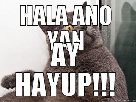 HALA ANO YAN AY HAYUP!!! conspiracy cat