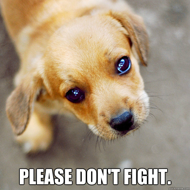  please don't fight. -  please don't fight.  Misc