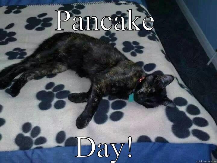 PANCAKE DAY! Misc