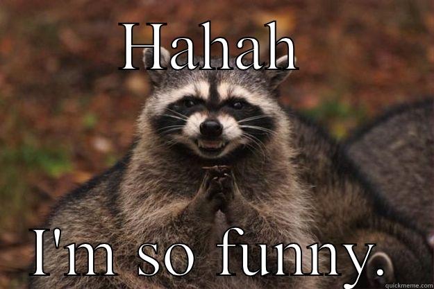HAHAH I'M SO FUNNY. Evil Plotting Raccoon