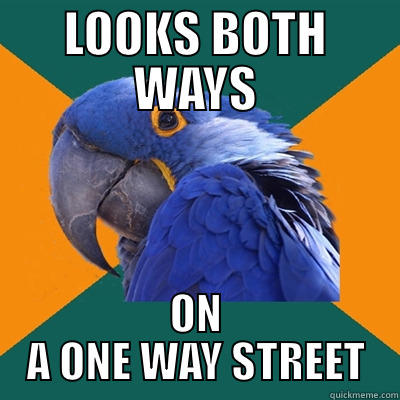 LOOKS BOTH WAYS ON A ONE WAY STREET Paranoid Parrot