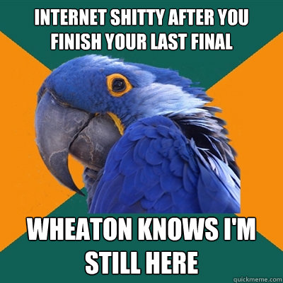 Internet shitty after you finish your last final Wheaton knows I'm still here  Paranoid Parrot