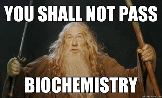 You Shall NOt pass Biochemistry - You Shall NOt pass Biochemistry  Gandalfmeme