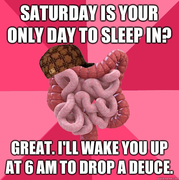 Saturday is your only day to sleep in? Great. I'll wake you up at 6 am to drop a deuce.   Scumbag Intestines
